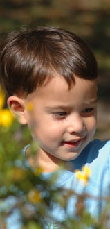 grace, lauren, or ethan