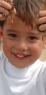 grace, lauren, or ethan