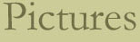 Pictures
